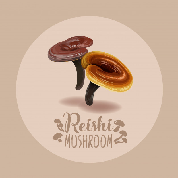 adaptogeni ce sunt si beneficii. Ciuperci Reishi
