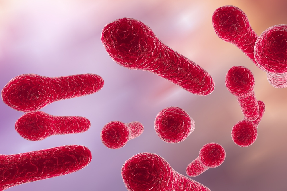 bacterie tetanos