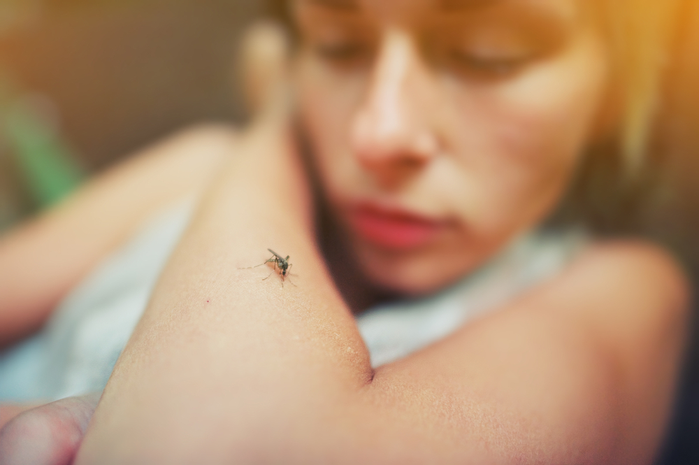 virus west nile