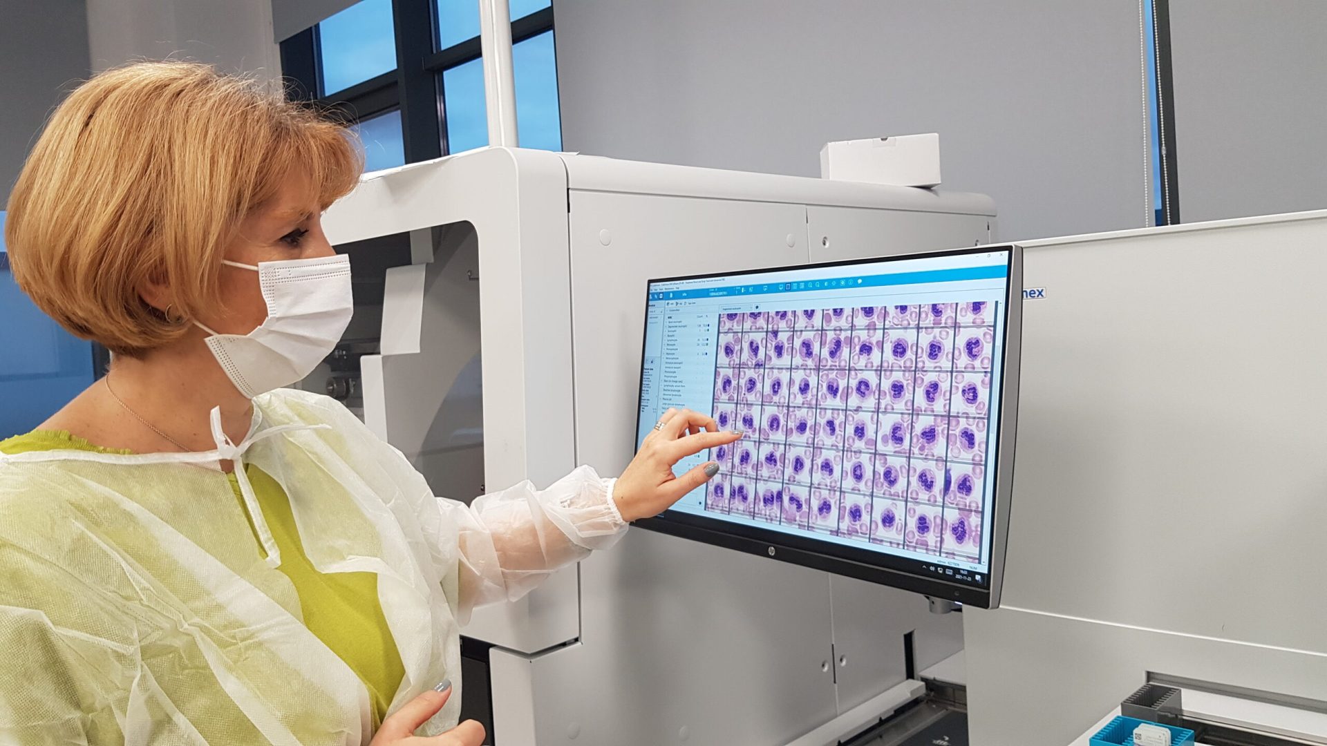 SYNEVO dr. Antoanela Curici