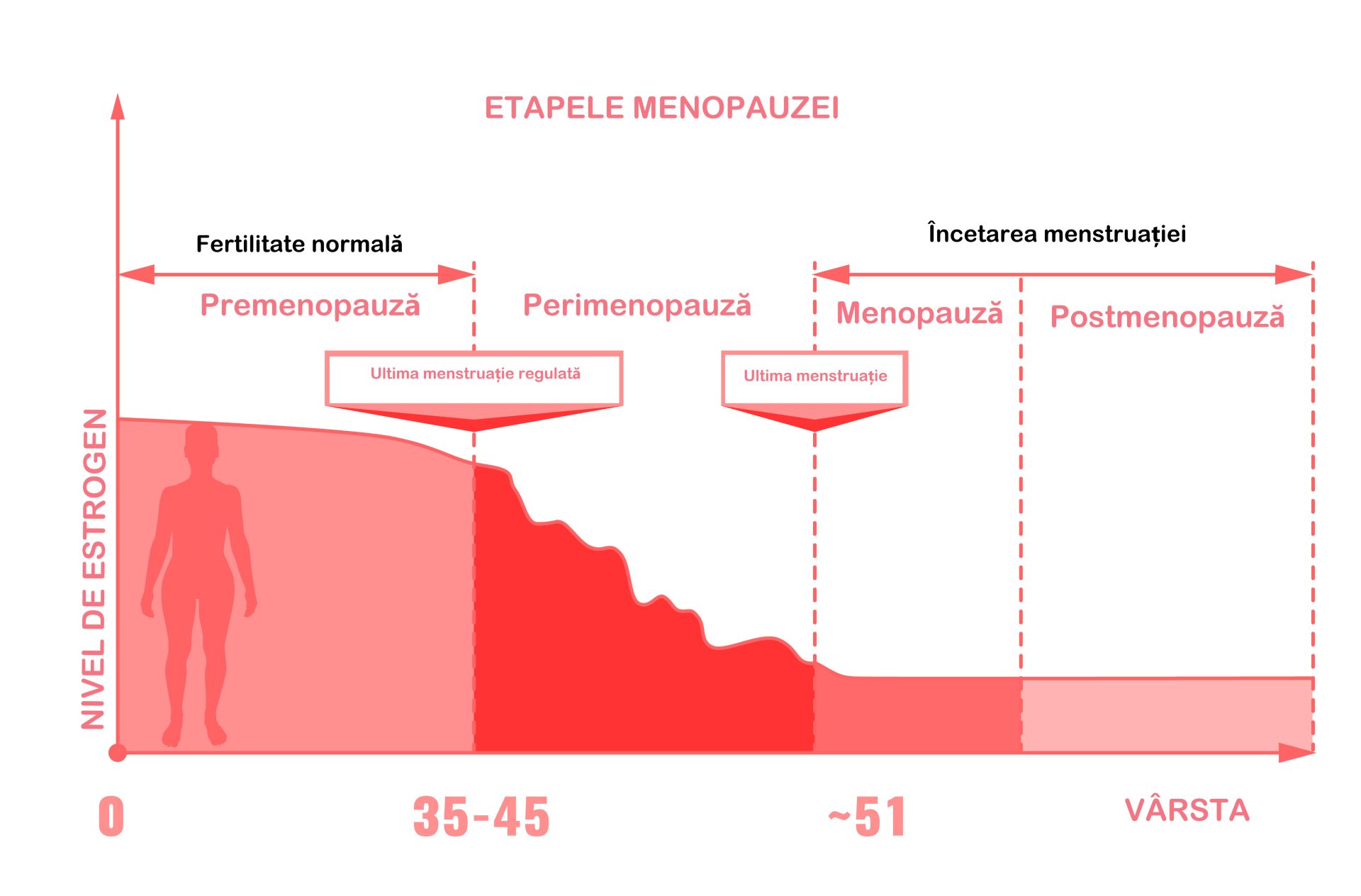 Menopauza: etape de apariție