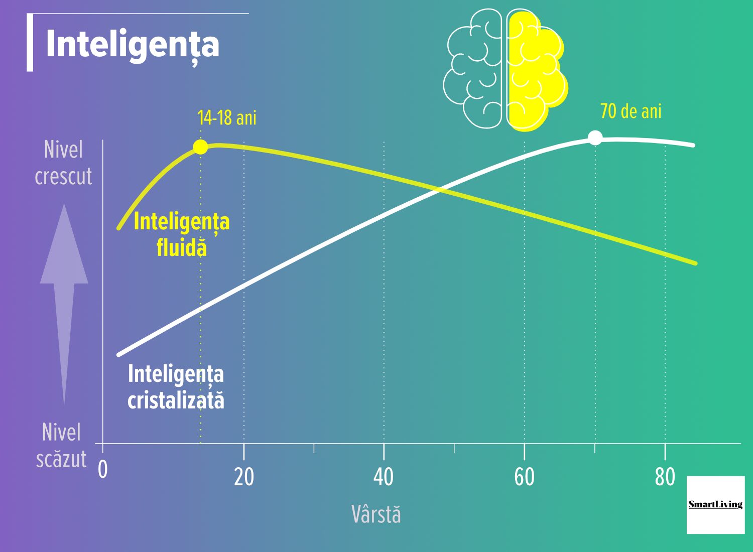 grafic evoluția inteligenței odată cu vârsta