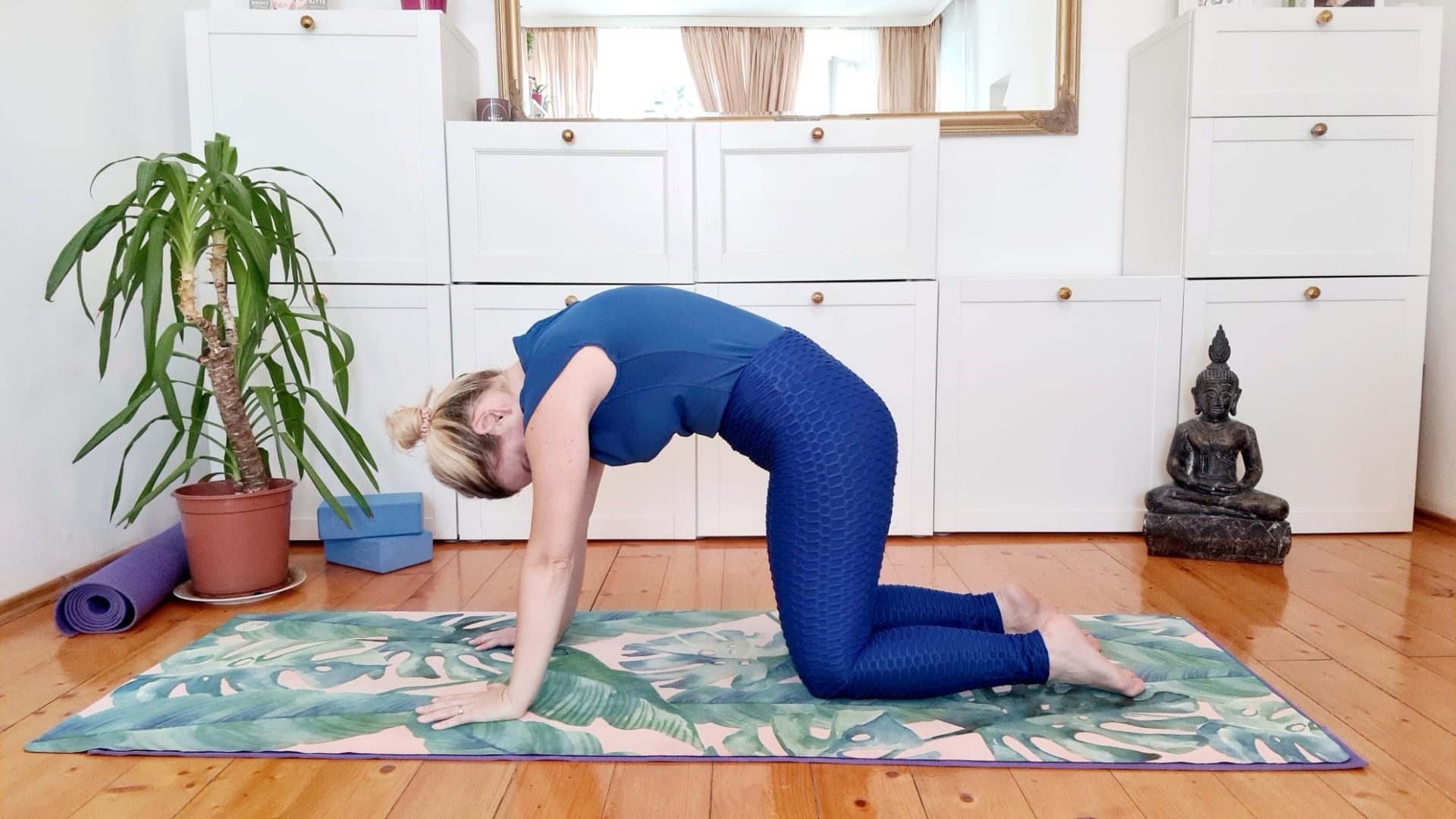 yoga pentru spate postura pisică vacă