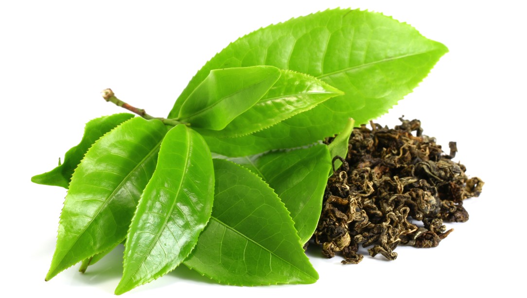 nootropice ceai verde