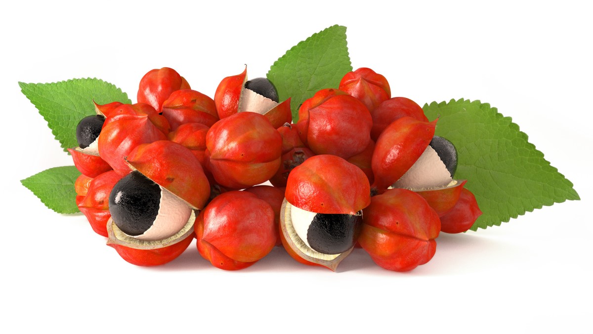 nootropice guarana