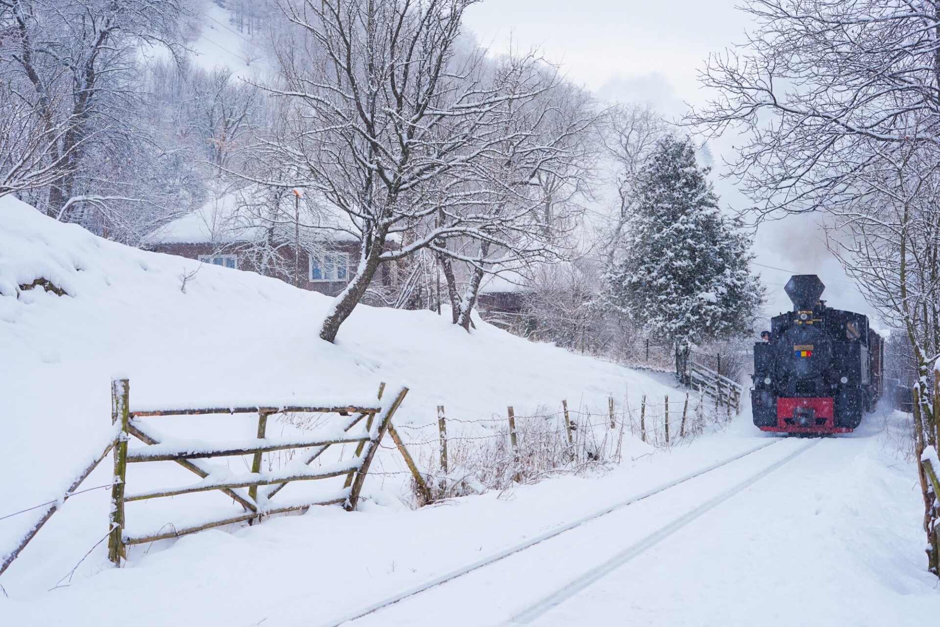 călătorie cu mocănița vișeu de sus, maramures