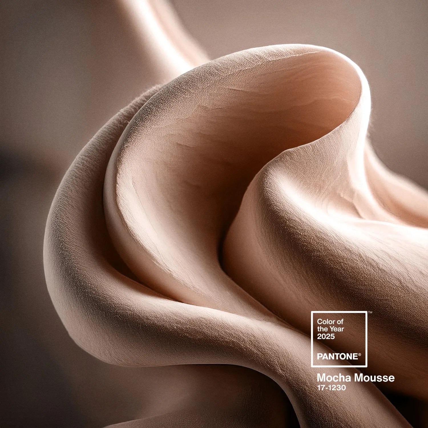 nuanța mocha mousse de la Pantone