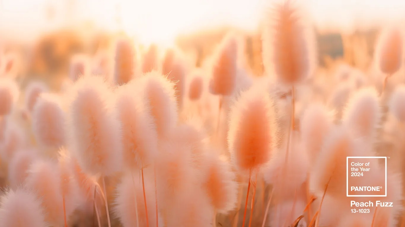 peach fuzz pantone